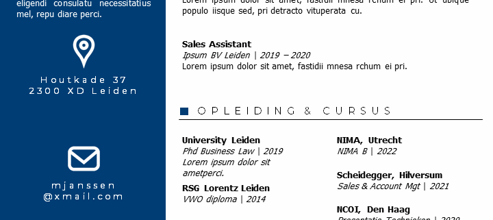 Voorbeeld CV Sjabloon 21-N Voorbeeld CV Sjabloon 21
