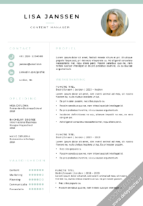 voorbeeld CV template 10