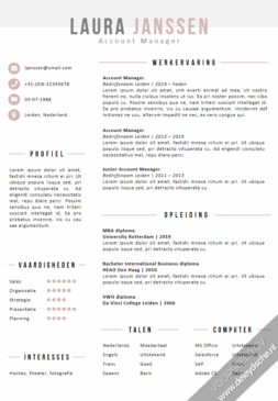 CV Template Voorbeeld CV Account Manager