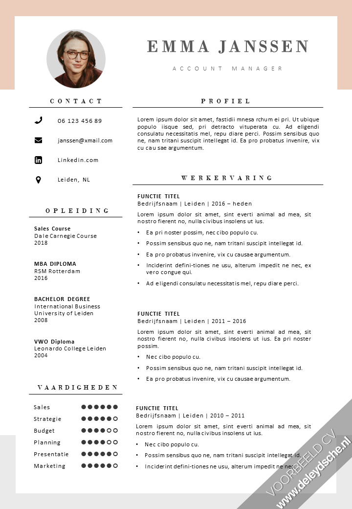 CV Template 8