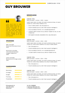 Voorbeeld Modern CV Template 9
