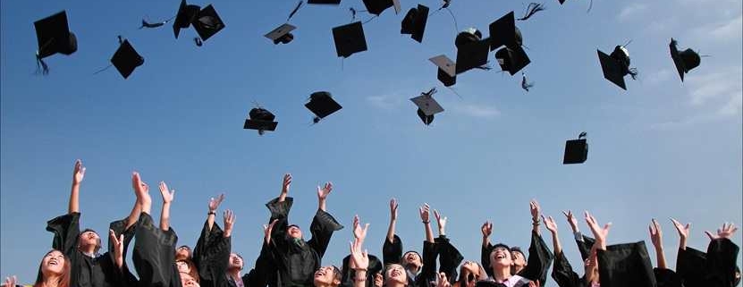 CV Tips voor Starters en Studenten