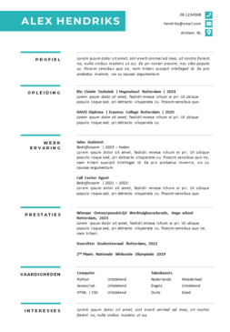 Gratis CV Sjabloon Student Starter