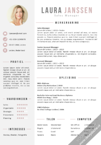 Voorbeeld CV Sjabloon 25