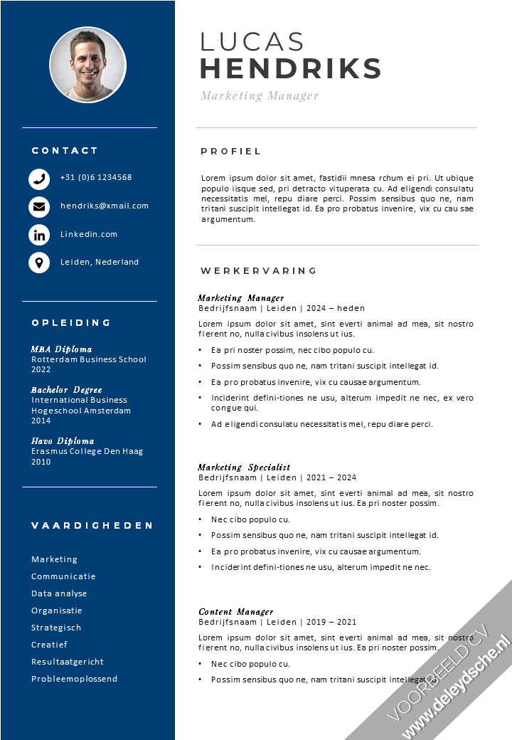 CV Template 15