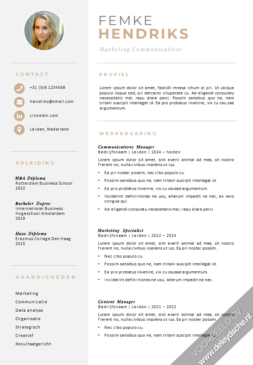 CV Template 28 Word Voorbeeld Management CV