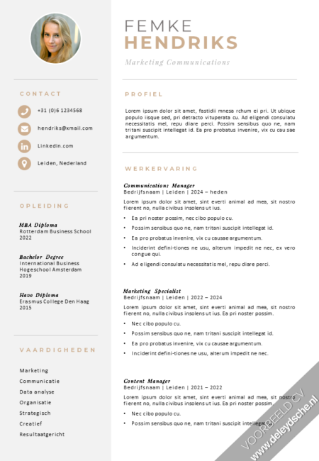 CV Template 28 Word Voorbeeld Management CV