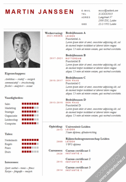 Voorbeeld CV Template 6